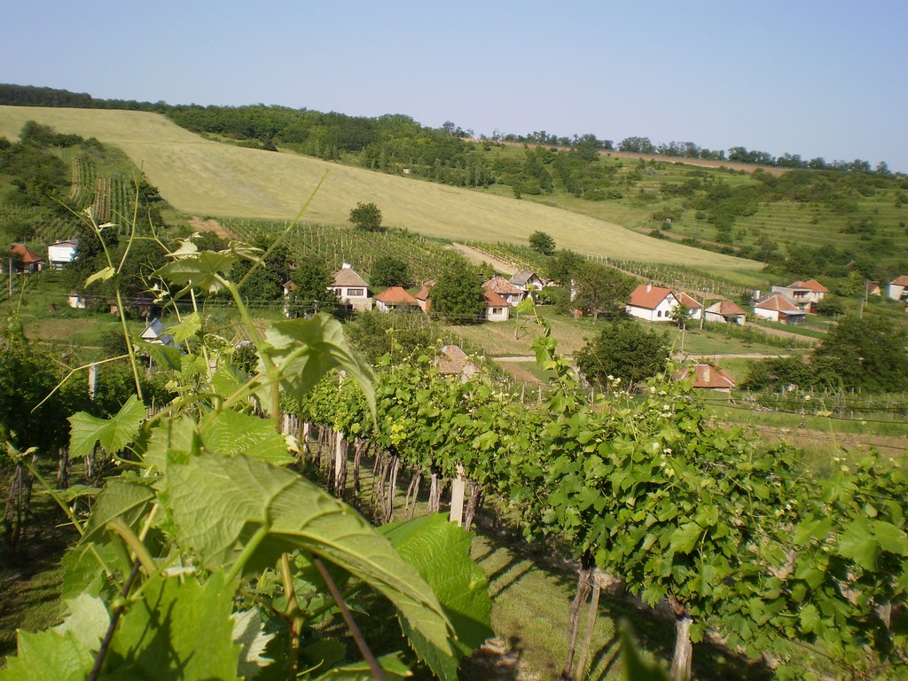 p065.jpg